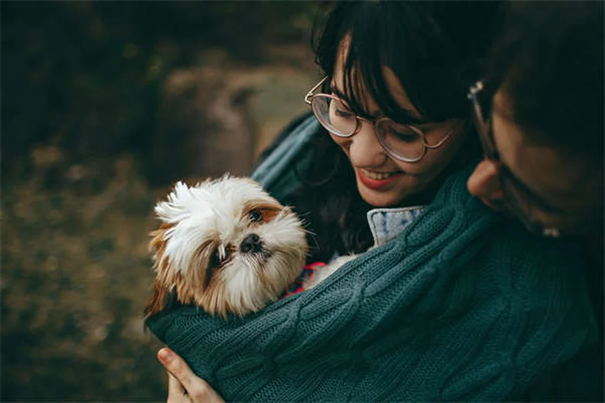 Praziquantel para perros y gatos: Guía completa sobre este antiparasitario